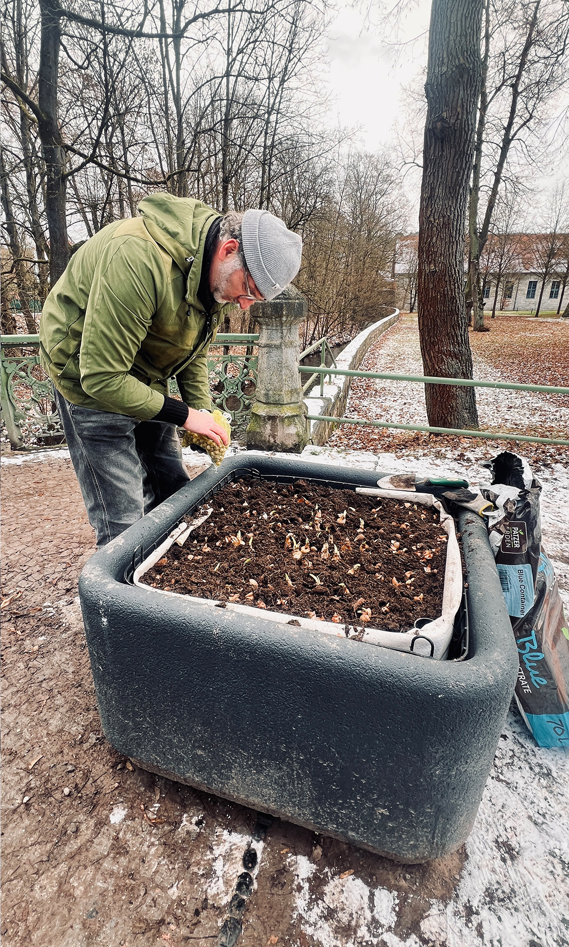 Pflanzkübel in der Innenstadt wird mit Blumenzwiebeln bepflanzt